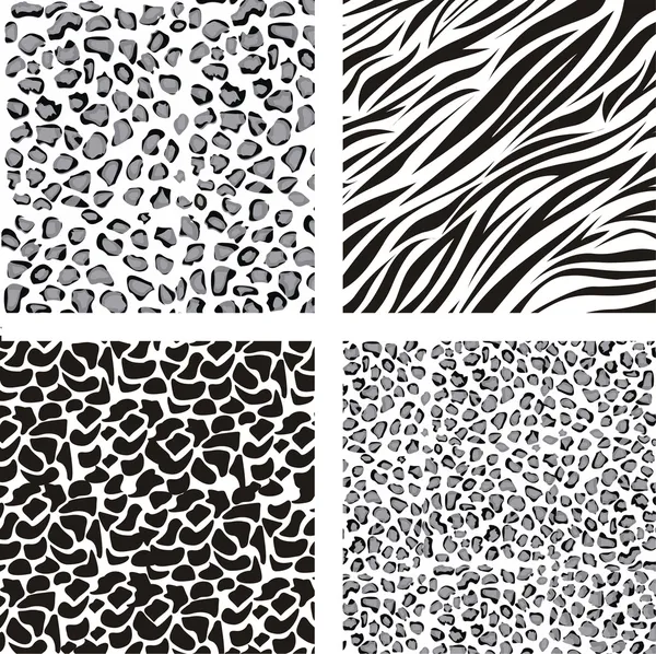 Pattern of animal print — Stock Vector © grgroupstock #11705859