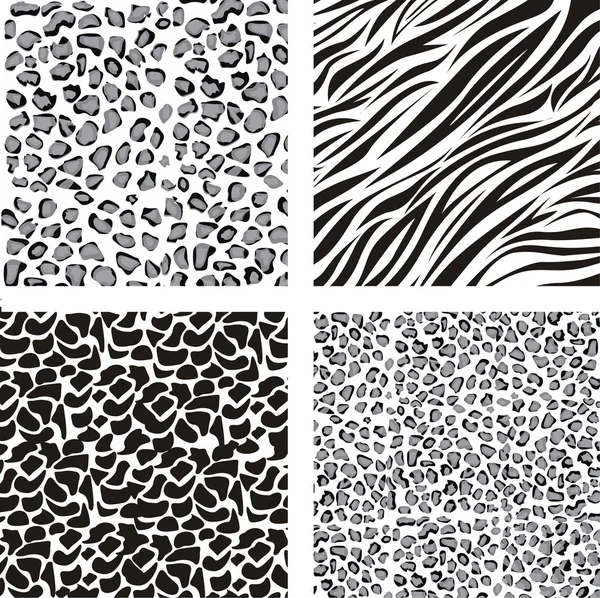 patrón de animal print — Vector stock © grgroupstock #11705859