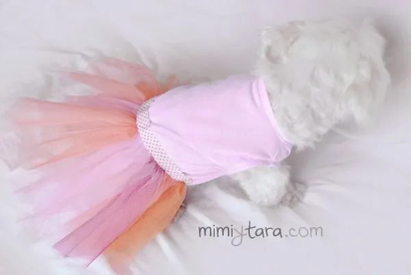 Patrón de vestido tutu para perro | Mimi y Tara | Patrones de ropa ...