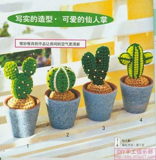 Cactus amigurumi patron - Imagui
