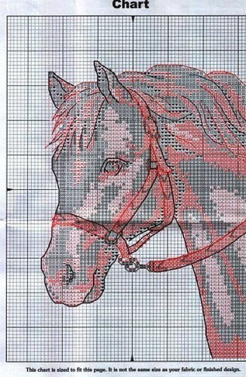 patrones depunto de cruz sobre caballos. | Aprender manualidades ...