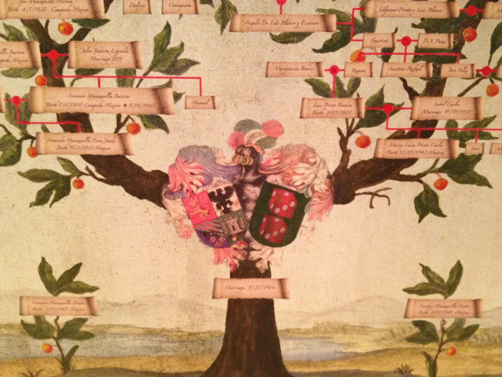 Paul-Paint: Family Trees / Árboles Genealógicos Paul-Paint: Family Trees / Árboles Genealógicos