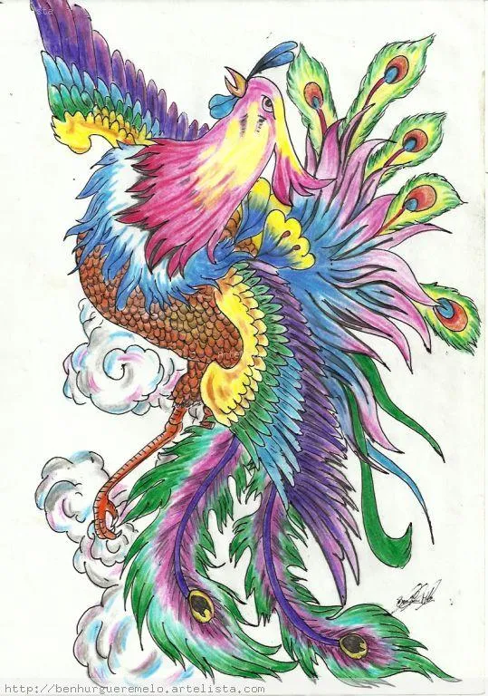 Dibujo de un pavo real a color - Imagui