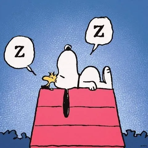 Snoopy | Frases | Pinterest | Snoopy