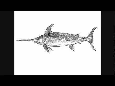 Dibujos de peces japones para colorear - Imagui Dibujos de peces japones para colorear - Imagui