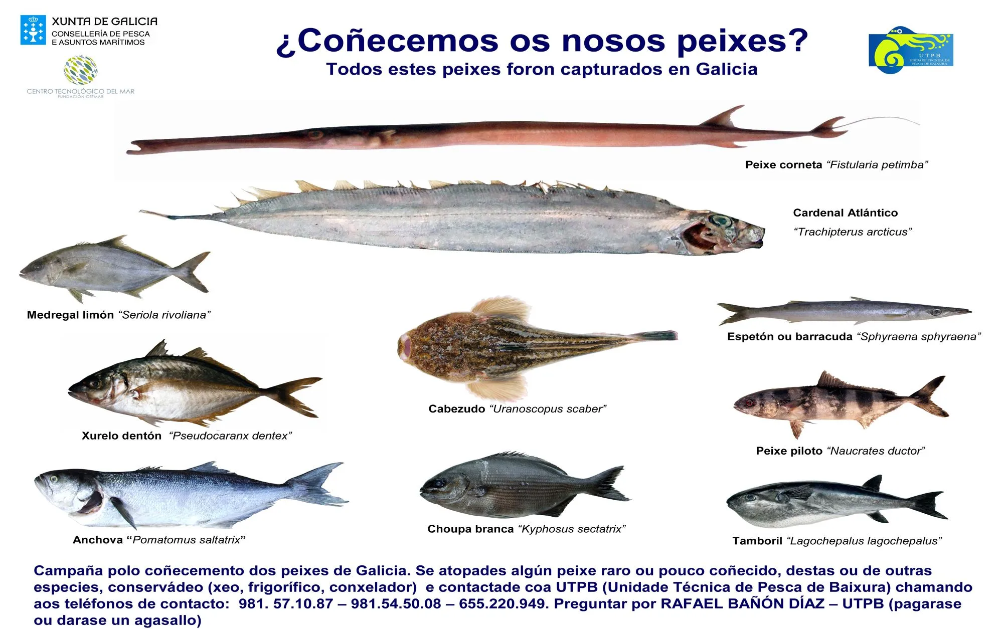 Peces que llegan y peces que se van | Ecología Azul