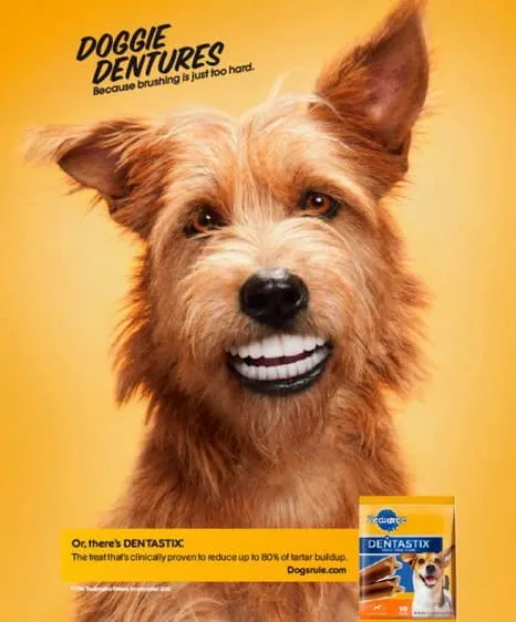 PEDIGREE DENTASTIX: La sonrisa de tu perro - OpenAds