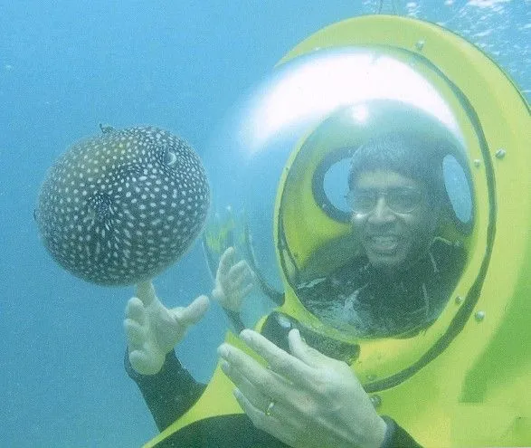 El peligro de ingerir pez globo | PESCADOR DEPORTIVO El peligro de ingerir pez globo | PESCADOR DEPORTIVO