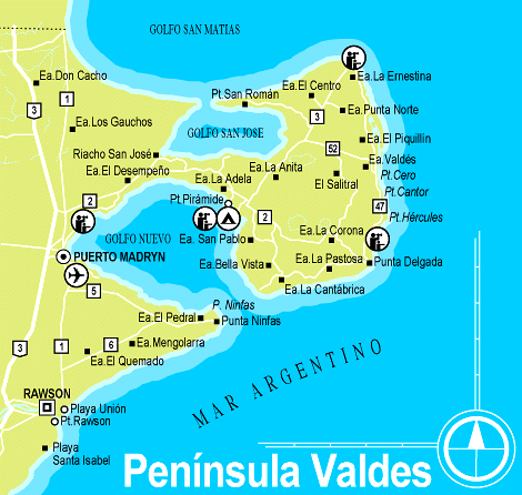 Península Valdes: el Circuito Completo - Puerto Pirámides ...