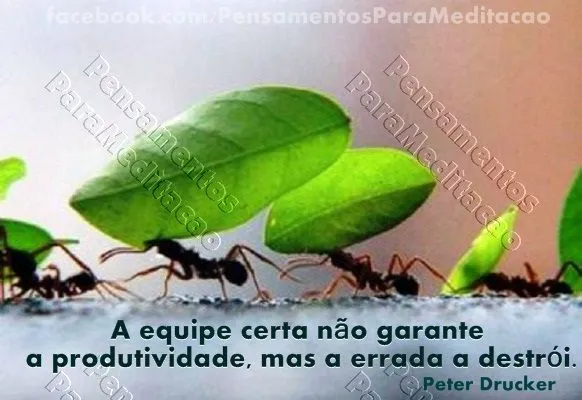 Pensamentos Para Meditação!: Trabalho em Equipe Pensamentos Para Meditação!: Trabalho em Equipe