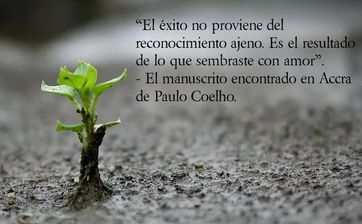 Frases de Paulo Coelho para compartir on Pinterest | Paulo Coelho ...