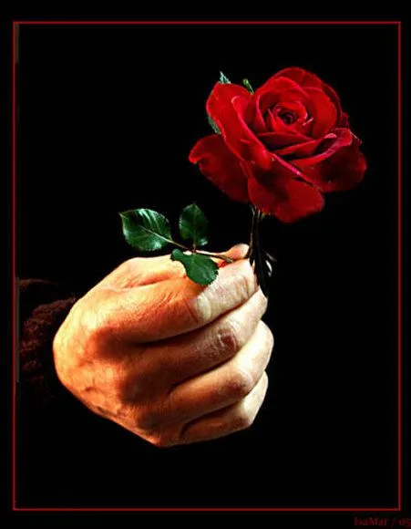Reflexionando Un Rato...: ¿Por Qué La Rosa Es Símbolo del Amor? Reflexionando Un Rato...: ¿Por Qué La Rosa Es Símbolo del Amor?