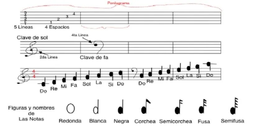Pentagrama Notas y figuras « TEORIA MUSICAL Pentagrama Notas y figuras « TEORIA MUSICAL