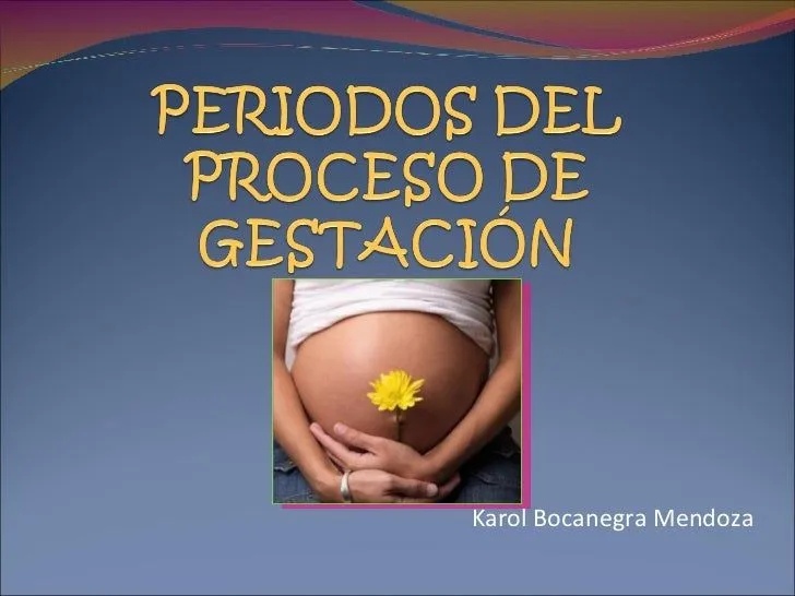 Periodos Del Proceso De GestacióN Bocanegra Mendoza