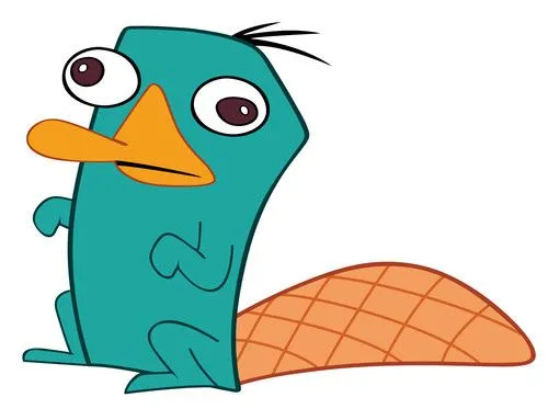 Ornitorrinco Perry dibujo - Imagui