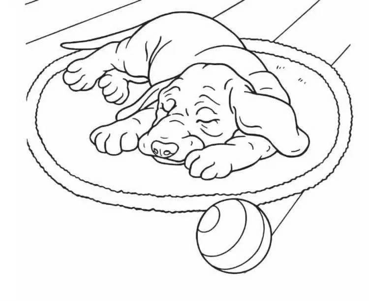Perro durmiendo en tapete para colorear - Dibujo Views
