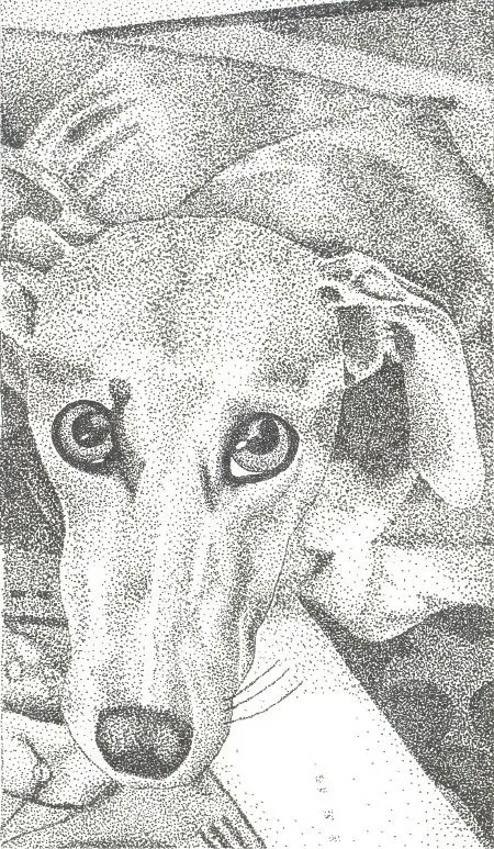 Perro en puntillismo by SaraHacha on deviantART Perro en puntillismo by SaraHacha on deviantART