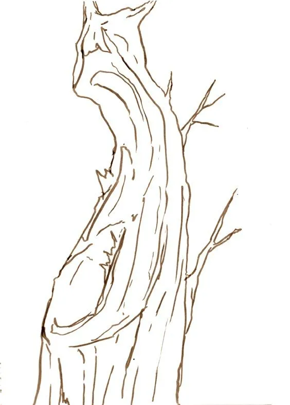 Dibujos de troncos - Imagui