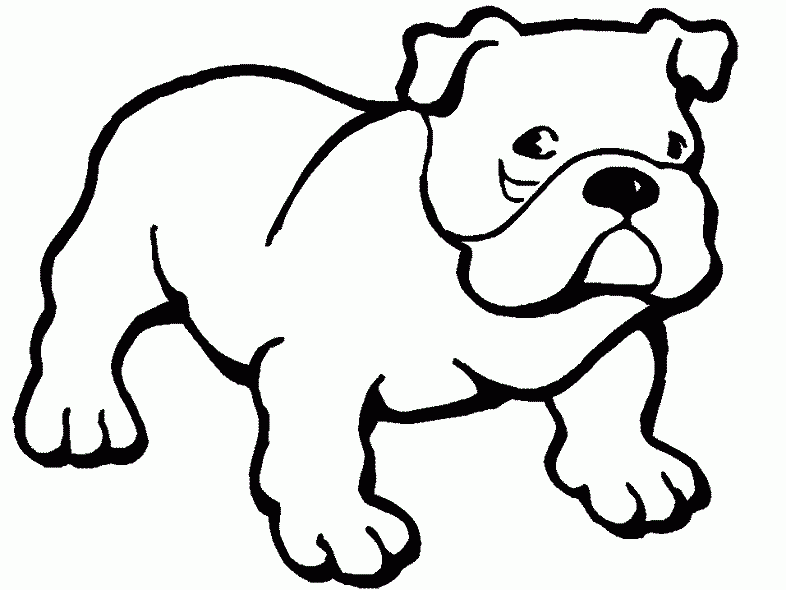Dibujos de perros pitbull cachorros para colorear - Imagui