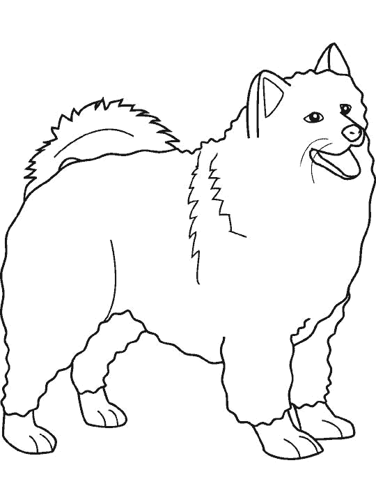 Dibujo para colorear de perros lobo - Imagui