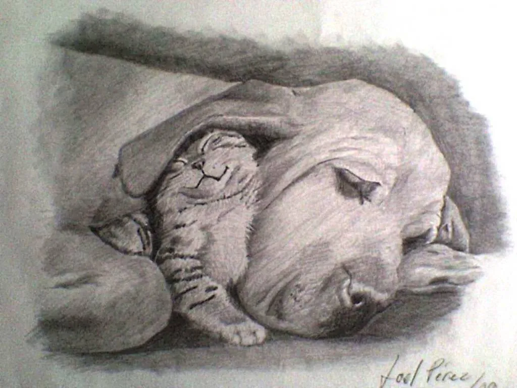 Perro y gato. Joel Perez Contreras- Artelista.com Perro y gato. Joel Perez Contreras- Artelista.com