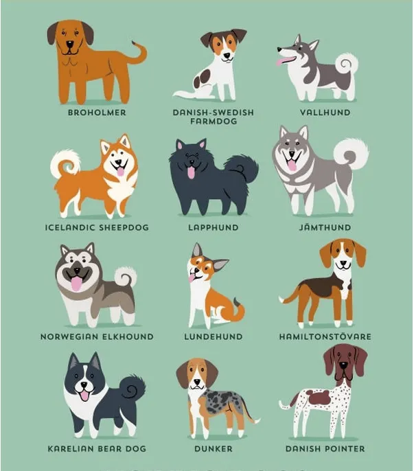Los perros del mundo" agrupados por su origen geográfico - Taringa!