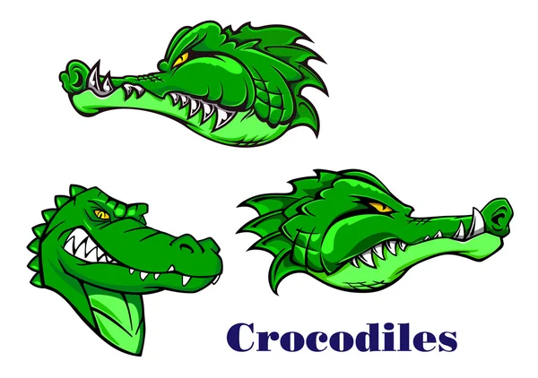 Personajes de dibujos animados cocodrilos y caimanes — Vector ...