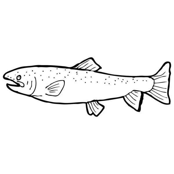 pescado blanco y negro dibujo — Vector stock © lineartestpilot ...