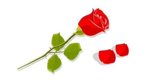 Pétalos y rosas rojas Free Download
