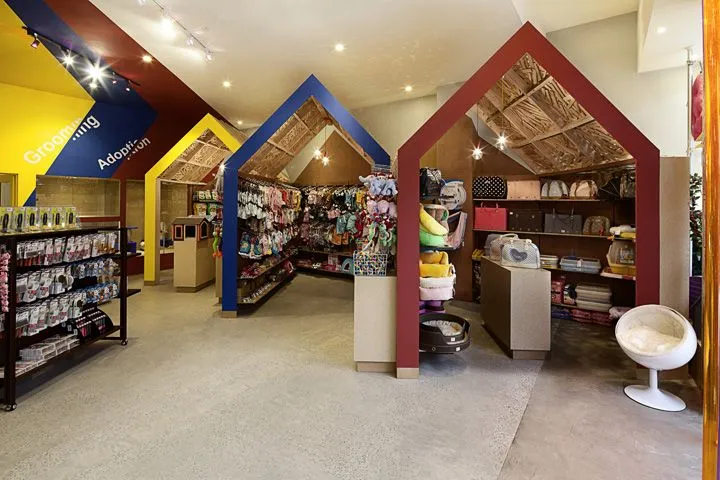 Pets Carnival store by rptecture architects, Melbourne – Australia ...