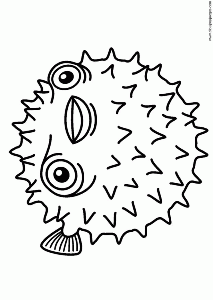pez-globo | Dibujos y juegos, para pintar y colorear pez-globo | Dibujos y juegos, para pintar y colorear