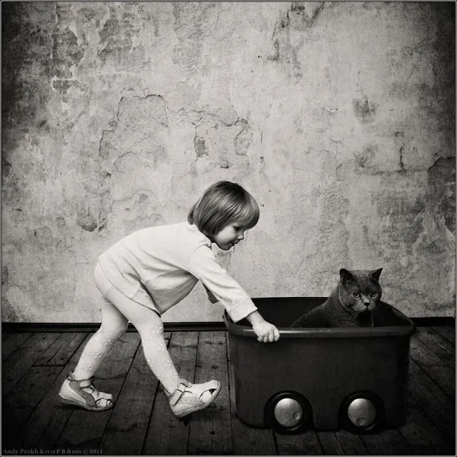 PhotosFresquet blog: La amistad entre una niña y su gato