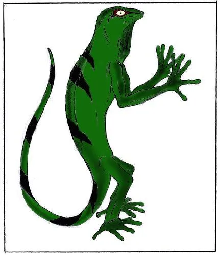 Dibujos de iguanas a color - Imagui