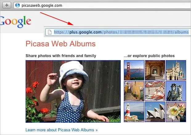 Picasa Web Albums Now Being Directed to Google+ Albums