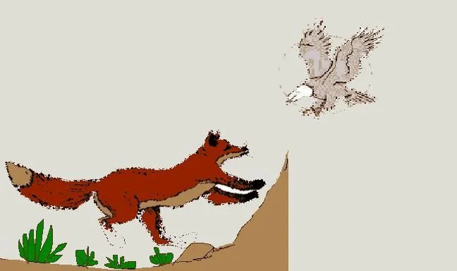 Dibujos animados de un aguila y un zorro - Imagui