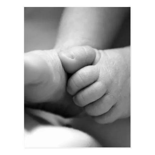 pies recién nacidos de los bebés postal | Zazzle