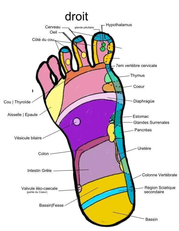 Los pies en el Síndrome triple a (allgrove)