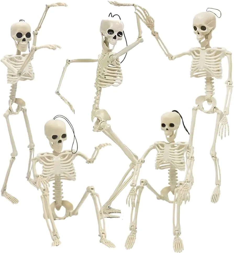 5 piezas de esqueleto de Halloween de 16 pulgadas, decoración de calavera  de esqueleto de cuerpo completo con juntas movibles para Halloween, patio,  césped, jardín, accesorios de decoración de fiesta espeluznante :