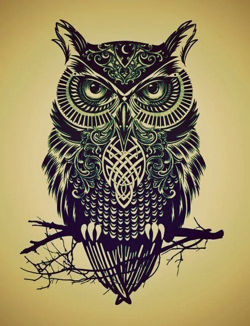Boceto on Pinterest | Owl, Posts and Html