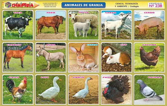 ANIMALES DE GRANJAS | Lamina de animales de la granja | Places to ...