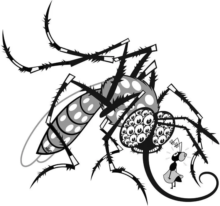 Pin Para Dibujos De Imagenes Del Mosquito Dengue Colorear on Pinterest