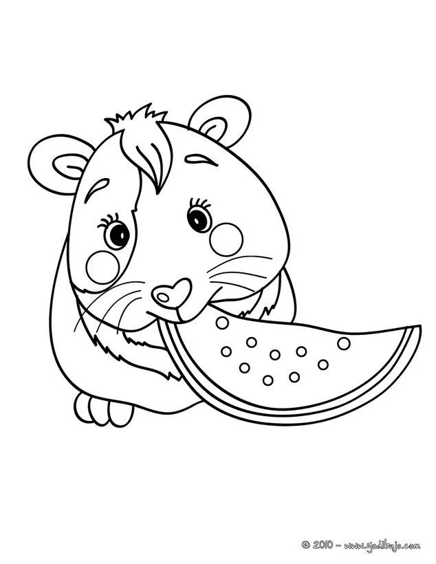 Dibujos para colorear hamster enano campbell - es.hellokids.com Dibujos para colorear hamster enano campbell - es.hellokids.com