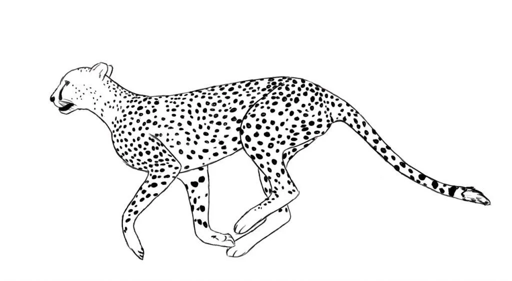 Pin on Animal Coloring Pages