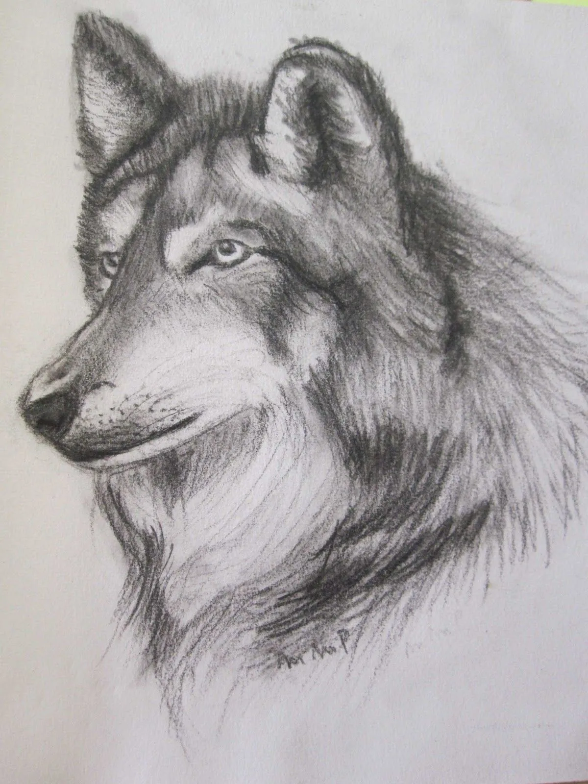 Pin Pin Lobo Lapiz 1996 Dibujos Carbon Libros on Pinterest Pin Pin Lobo Lapiz 1996 Dibujos Carbon Libros on Pinterest