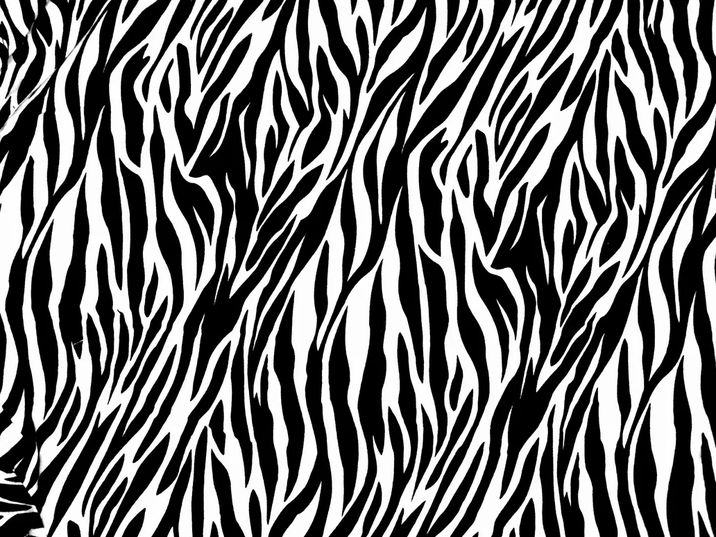 zebra print texture by ghoulskout on DeviantArt