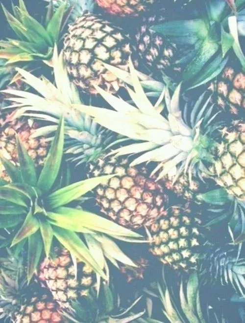 Piña Pineapple Fondo Wallpaper para iphone y ipod | hipster,swag ...