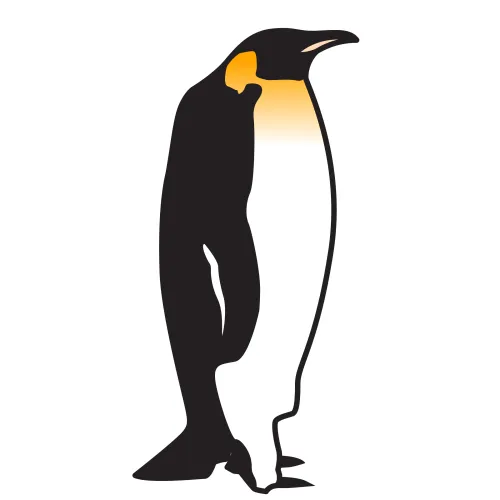 Dibujo de pinguino emperador - Imagui
