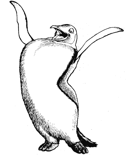 Dibujos para colorear de Pinguinos, Spheniscidae, Pingüino