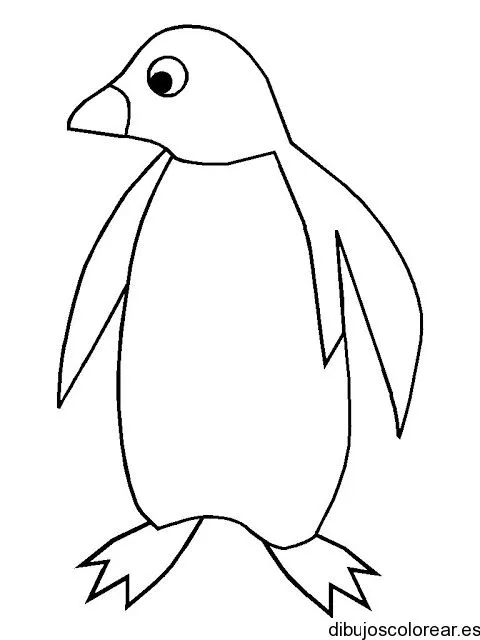 pinguinos | Dibujos para Colorear