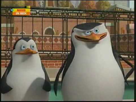 Los Pinguinos de Madagascar Rico - YouTube